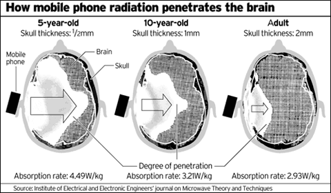 Irradiamento elettromagnetico da cellulare al cervello