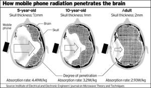 Irradiamento elettromagnetico da cellulare al cervello