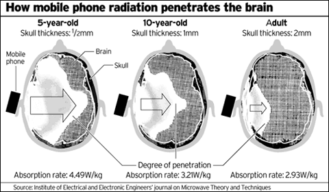 Electromagnetic radiation from cell phone to the brain